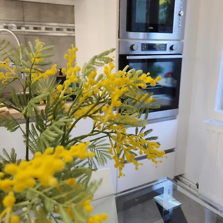 La Belle Au Fil De L'eau Habitación en casa particular Douai